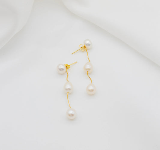 Walk the Aisle Deluxe & Dual Purpose