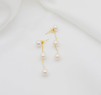 Walk the Aisle Deluxe & Dual Purpose