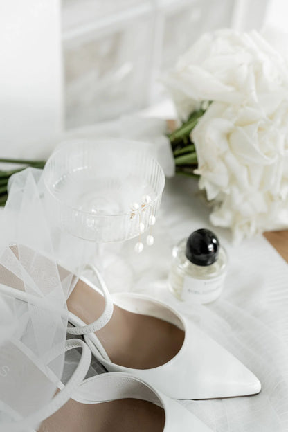Walk the Aisle Deluxe & Dual Purpose